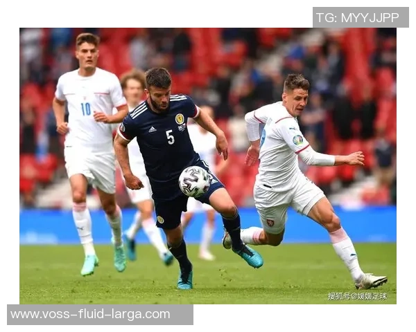 波黑足球现役明星球员全景盘点与成就分析