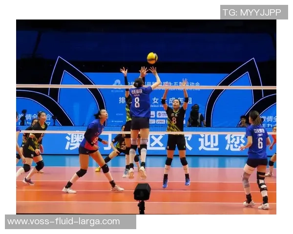 2026排球耐力排行榜：南京排球队位居第7名