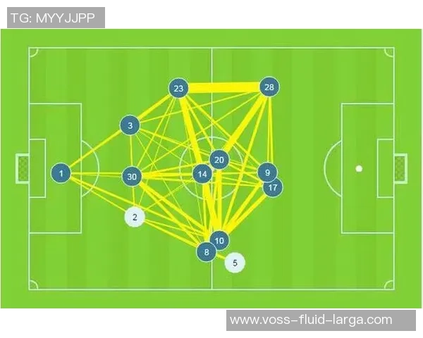 数据分析：西安网球队的战术表现