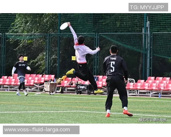 飞盘战术：北京飞盘队的反击体系